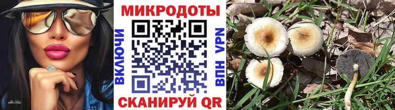 Купить где  Новомосковск  Галлюциногенные грибы GOLDEN TEACHER 
